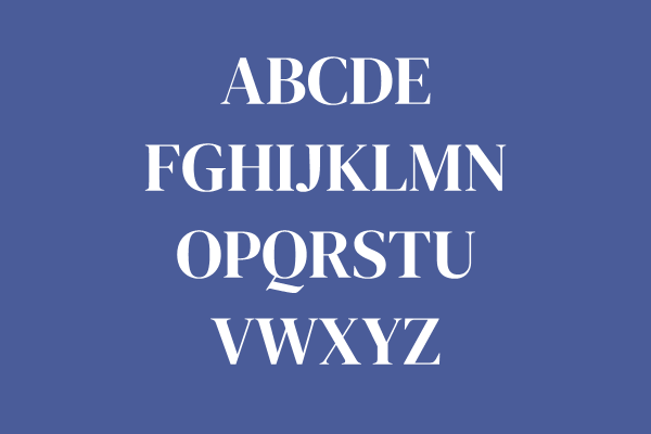 DM Serif Display Regular