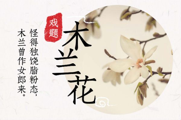 华康古籍木兰W3