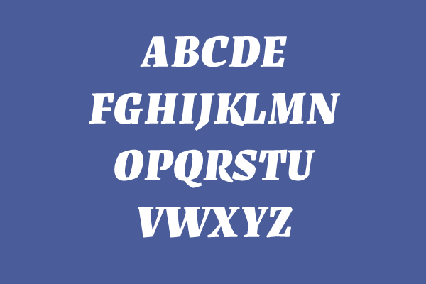 Labrada Black Italic