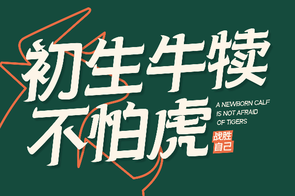 三极牛牛体 超粗