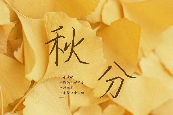 与瓶共赴起灵书