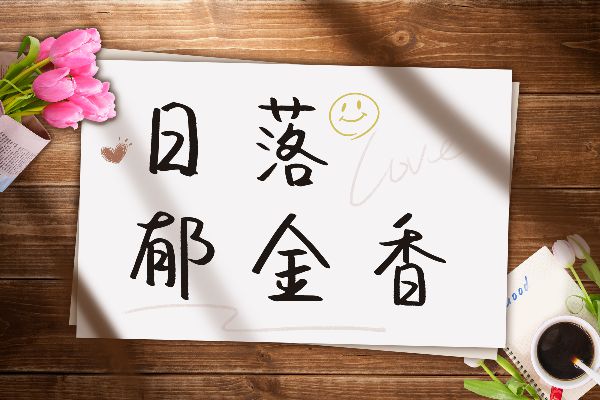 你是散落人间的星辰