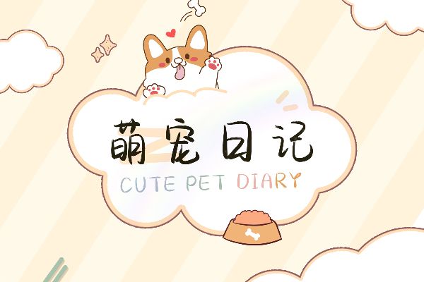 你比夕阳更温柔