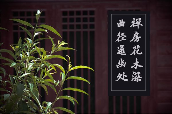 刘梦吟书法行楷