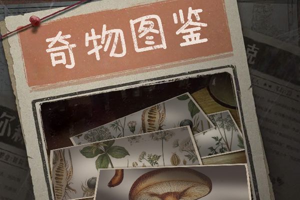 开开心心不动脑筋