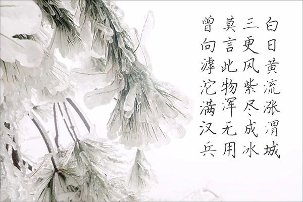 汉呈吴红生钢笔楷书