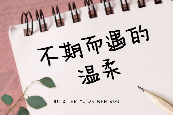 给你的一封情书