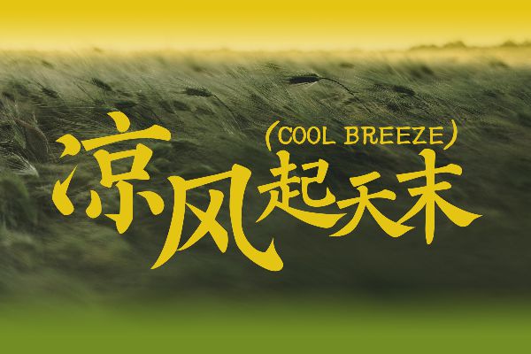 颜真卿多宝塔碑