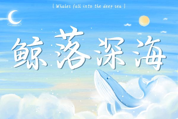 鲸落成海风隐于林