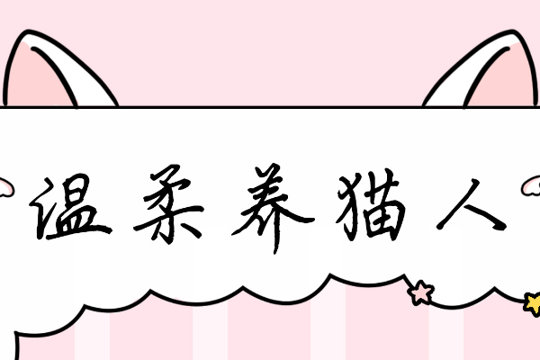 温柔养猫人