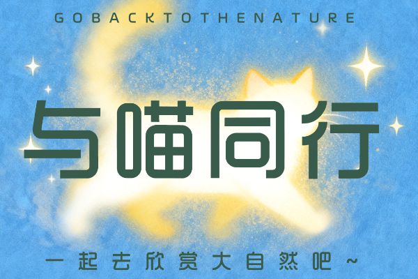 Aa综艺圆