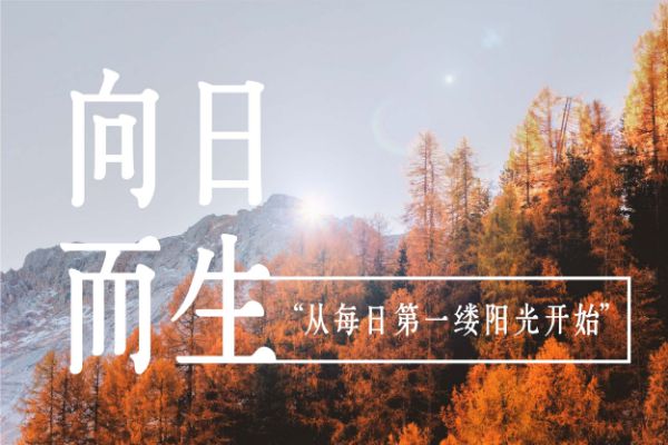 华康古籍银杏W3