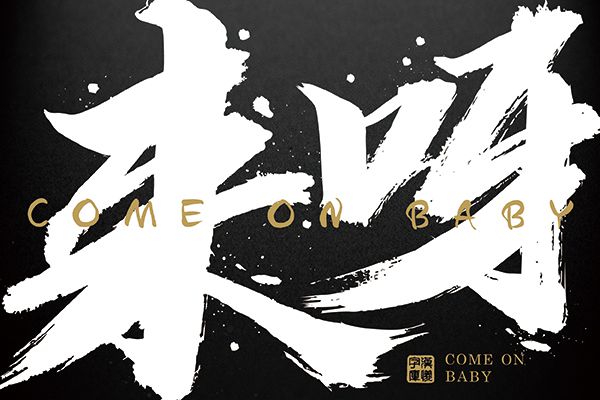 汉仪迪升英雄体W