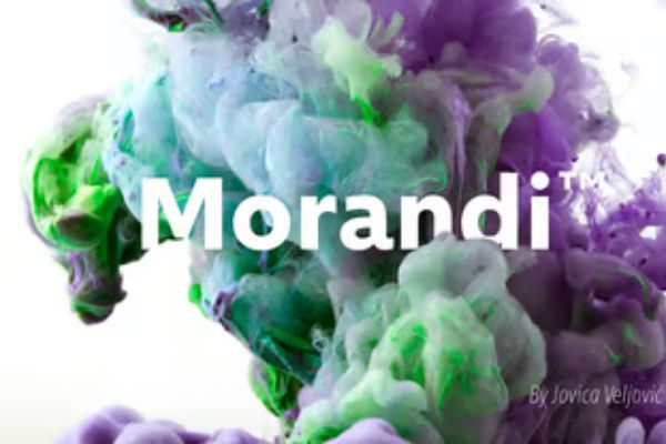 Morandi™ Pro Condensed Light
