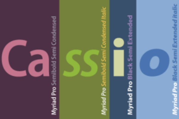 Myriad Pro SemiCondensed Black Italic