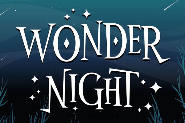 Wonder Night